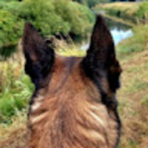 Meet your Posher, Karen